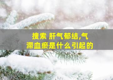 搜索 肝气郁结,气滞血瘀是什么引起的